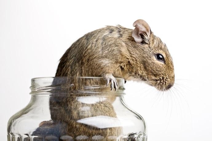 Rappresentazione visiva dell'articolo: Pianificare per non restare intrappolati.